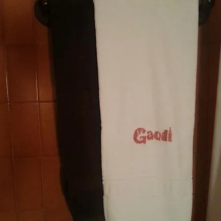 Otel Gaudi 3*